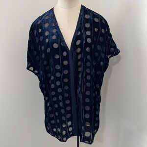CAbi 3507 Spot On Blouse XL Blue Burnout Velvet Polka Dot Top
